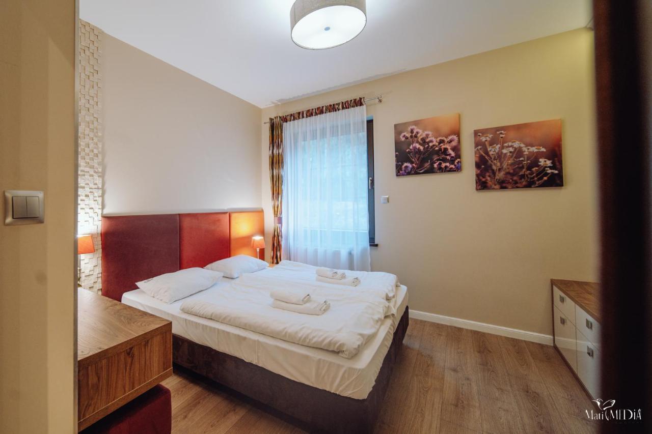 Dolina Wikingow Apartament Oye 09 Szklarska Poręba Eksteriør billede